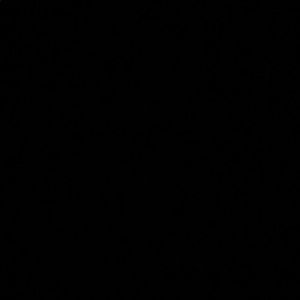 Meet your Posher, Darcy